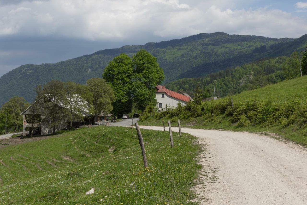 Turisticna Kmetija Toman Villa Gornji Grad Luaran gambar